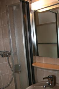 La salle de bains est pourvue d'une douche, d'un lavabo et d'un miroir. dans l'établissement Ferienwohnung Am Altenberg, à Lahr/Schwarzwald