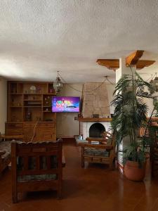 sala de estar con chimenea y TV de pantalla plana en LA CASA DE DOÑA EMMA, en Mazamitla