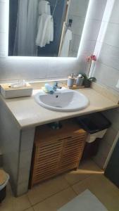 a bathroom with a sink and a mirror at U Are We R St Martin Studio Cosy Marigot, Wi-Fi ,Piscine in Marigot
