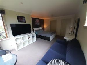 uma sala de estar com um sofá azul e uma televisão de ecrã plano em Georges BnB Nature and Lifestyle Retreat em New Plymouth