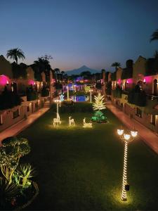 un jardín con luces en el césped por la noche en Suites Layfer, Córdoba, Veracruz, México en Córdoba