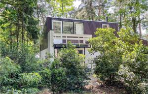 ein Haus im Wald mit Bäumen in der Unterkunft Pet Friendly Home In Meijel With Sauna in Meijel