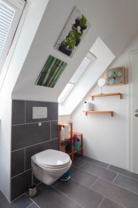 a bathroom with a toilet in a attic with skylights at Zuhause im Paradies in Hannover