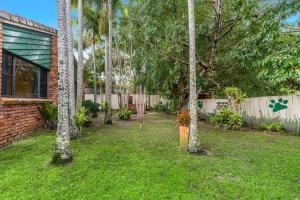 A garden outside Bromeliads