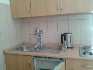 Kuchyň nebo kuchyňský kout v ubytování Apartments with parking spaces Rtina - Stosici, Zadar - 15921