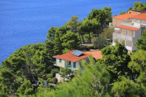 een huis op een heuvel naast de oceaan bij Apartments by the sea Brela, Makarska - 2713 in Brela