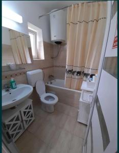 a bathroom with a toilet and a sink and a tub at Casa Teonia in Tăşnad
