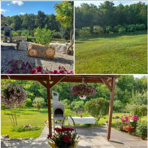 a collage of pictures of a garden with flowers at Casa Teonia in Tăşnad