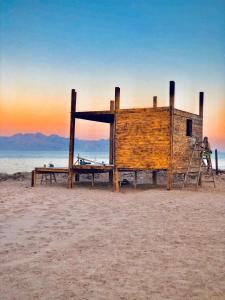 a wooden shack on the beach with a person on a ladder at Lala Land Camp in Nuweiba