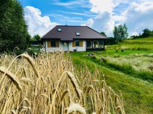 a house in the middle of a field with tall grass at Uroczy dom na Mazurach Jezioro Dybowskie in Dybowo