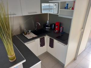 Kuchyňa alebo kuchynka v ubytovaní L'Arche de Noé 217, Studio mezzanine vue imprenable