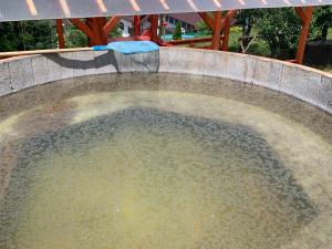 プライドにあるCristal de Sareのギャラリーの写真