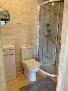a bathroom with a toilet and a shower at The Gallows in Pembroke