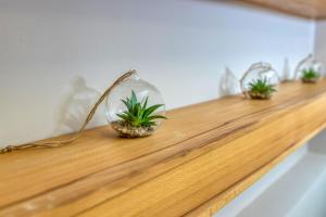 Imagem da galeria de Annona Apartments em Bečej mais 83 fotografias