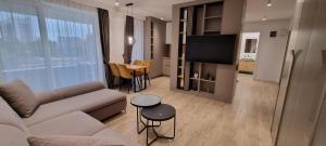 Il comprend un salon doté d'un canapé et d'une télévision à écran plat. dans l'établissement North Star Apartment 5, à Timişoara