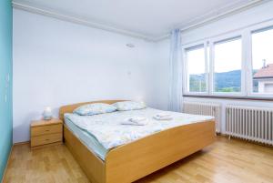 een slaapkamer met een bed en een groot raam bij Apartment Buzet 17562a in Buzet