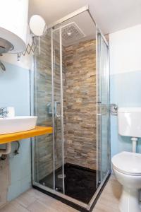 een badkamer met een douche, een toilet en een wastafel bij Apartments with a parking space Buzet, Central Istria - Sredisnja Istra - 17333 in Buzet