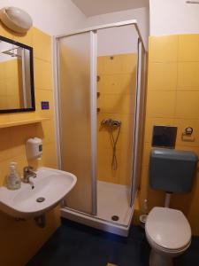 a bathroom with a shower and a sink and a toilet at Apartments and rooms with WiFi Zagreb - 15959 in Zagreb