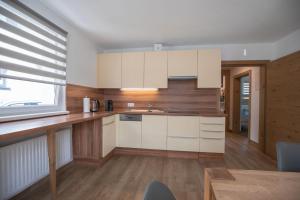 Dapur atau dapur kecil di Apart Alp Line
