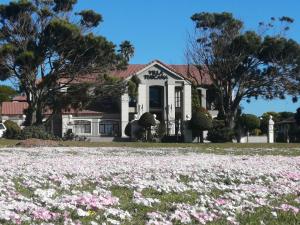 Villa Tuscana外面的花园