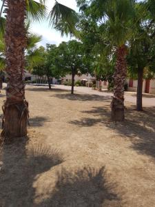 Fotografia z galérie ubytovania appartement avec terrasse , jardinet et piscine v destinácii Argelès-sur-Mer