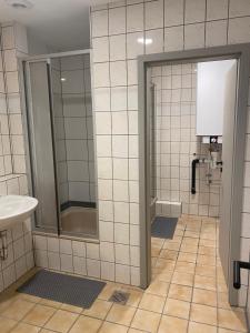 バート・ノイェンアール・アールヴァイラーにあるFerienzimmer Nr.20のバスルーム(シャワー、シンク付)