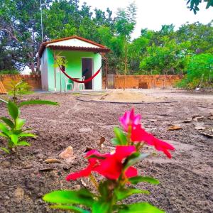 Mila chalé في Cruz: منزل صغير أمامه وردة حمراء