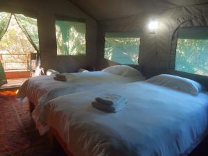 1 dormitorio con 2 camas y toallas. en The Old Trading Post, en Wilderness