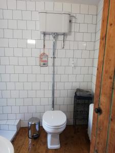 a bathroom with a white toilet and a sink at Shoe Trader's Terrace in Rathmullan