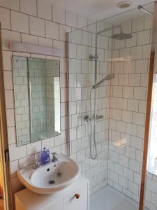 a bathroom with a sink and a shower at Shoe Trader's Terrace in Rathmullan