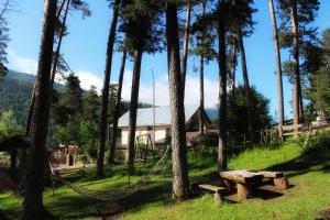 a hammock in front of a house with trees at Guest House on Meskheti in Borjomi