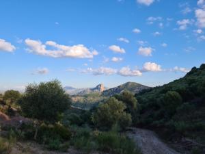 Paisaje cerca de este hostal o pensión
