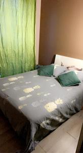Bett mit grauer Bettdecke und grünen Vorhängen in der Unterkunft Chambre et salle de bain privée dans maison proche Paris et Disney in Valenton
