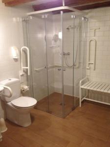 a bathroom with a glass shower with a toilet at Vier Jahreszeiten Idyll in Schuttertal