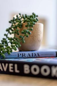 uma planta em vasos sentada em cima de um livro em The Burlington by STAMP SA em Blackpool