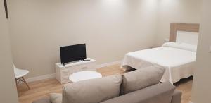 ein Wohnzimmer mit einem Sofa, einem TV und einem Bett in der Unterkunft Apartamentos Ilustración in Albacete