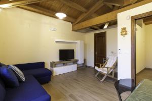 un salon avec un canapé bleu et une télévision dans l'établissement Casetta delle Rose sull'etna, à Viagrande