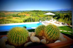 a swimming pool with two cacti in a yard at Casa Magnolia in Terricciola