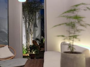 a living room with a white couch and a plant at Metta Homestay Hue in Hue