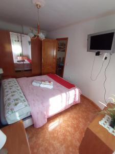 a bedroom with a bed and a flat screen tv at Apartamento Merlin in Roquetas de Mar