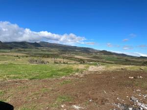 a field with some animals in a field with mountains at Chalet du Piton Bleu in Le Tampon