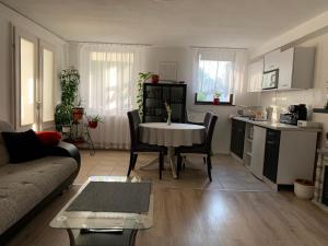 Kuchyň nebo kuchyňský kout v ubytování Piknik Apartmant