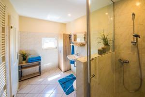 a bathroom with a shower and a sink at Ferienwohnung Ostsee in Stubbenfelde +15 photos