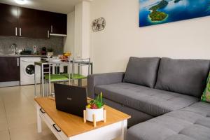 a living room with a couch and a table with a laptop at Apartamento Timple in Icod de los Vinos