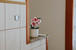 a flower in a pot on a counter in a bathroom at I&T apartman in Gospić