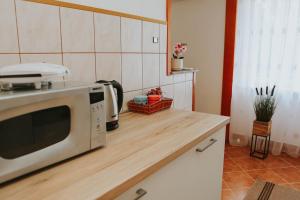 a kitchen with a microwave on top of a counter at I&T apartman in Gospić