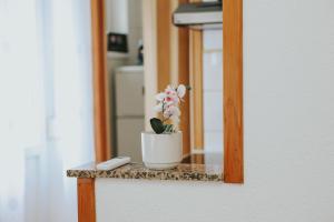 a potted plant sitting on a table in front of a mirror at I&T apartman in Gospić