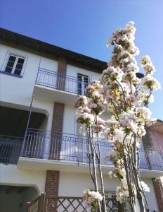 a flowering tree in front of a building with a balcony at Casa Cybèle in Rovello Porro
