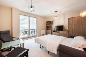 Televízia a/alebo spoločenská miestnosť v ubytovaní Ursus Pleasant Apartment