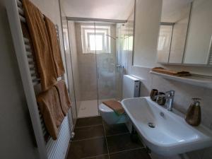 uma casa de banho com um lavatório, um WC e um chuveiro em Hotel Restaurant Rätia em Filisur